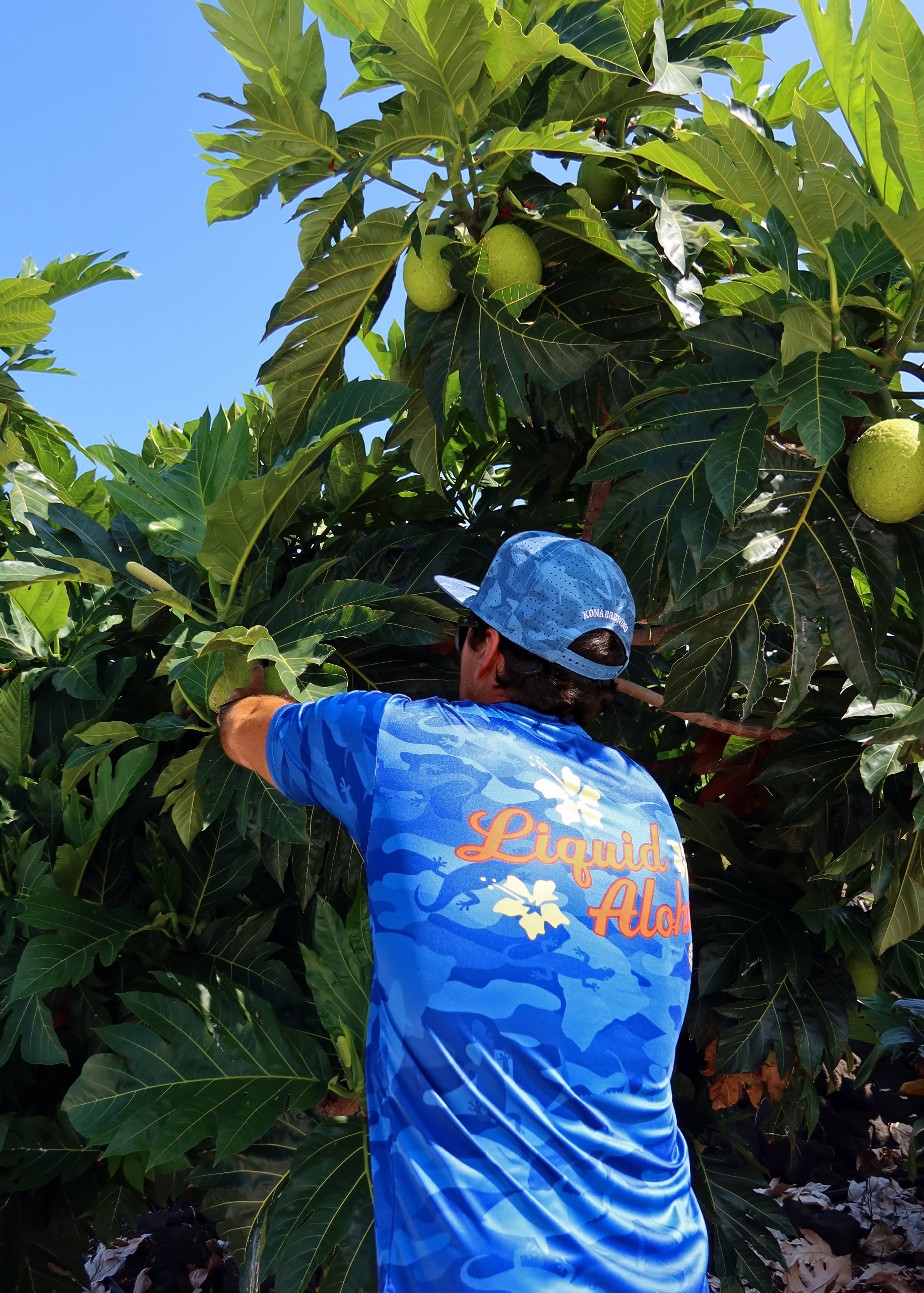 'Ula'ula Waterflague UPF Short Sleeve
