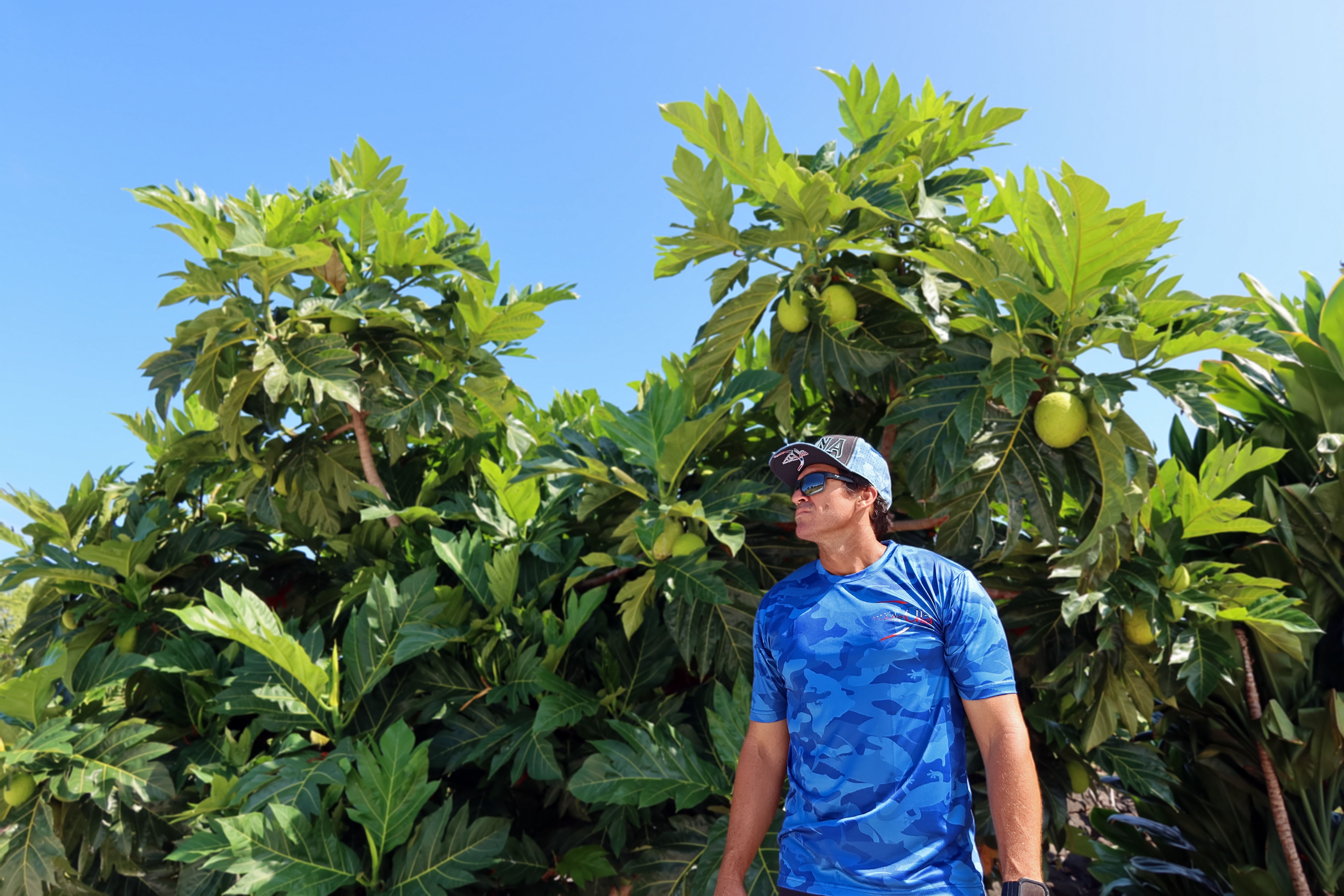 Kona Brewing Hawaiʻi | Retail